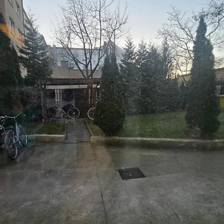 Everyday - Calling *