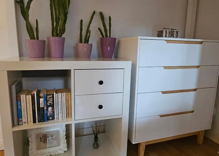 Everyday - Calling Lejlighed